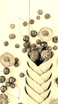 Szary + Sepia