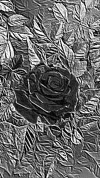 Skamielina