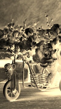 Sepia + Negatyw