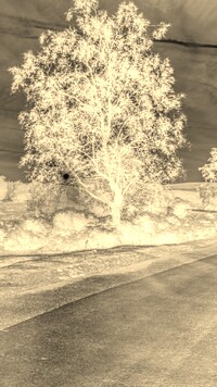 Sepia + Negatyw