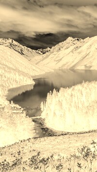 Sepia + Negatyw