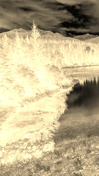 Sepia + Negatyw