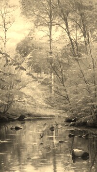Sepia