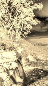 Sepia + Negatyw