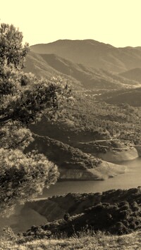 Sepia