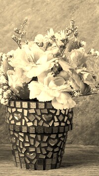 Szary + Sepia