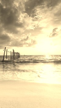 Szary + Sepia