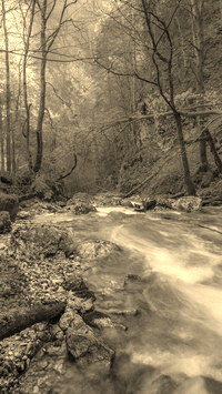 Sepia