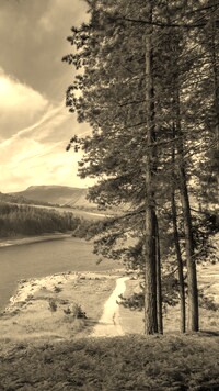 Sepia
