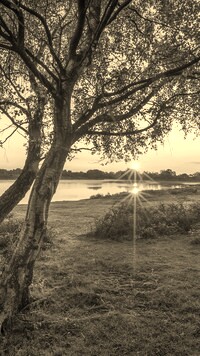 Szary + Sepia