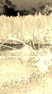 Sepia + Negatyw