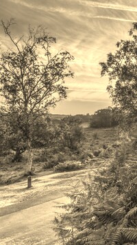 Szary + Sepia