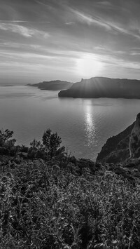 Szary