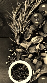 Szary + Sepia