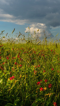 Oryginalny obrazek