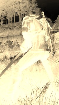 Sepia + Negatyw