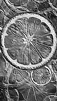 Skamielina