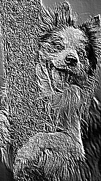 Skamielina