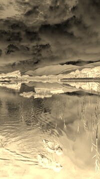 Sepia + Negatyw
