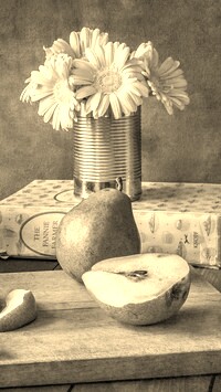 Szary + Sepia