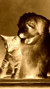 Sepia + Negatyw