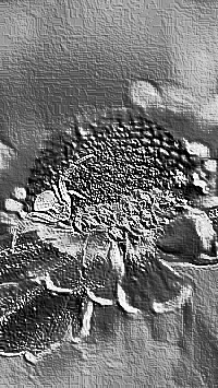 Skamielina