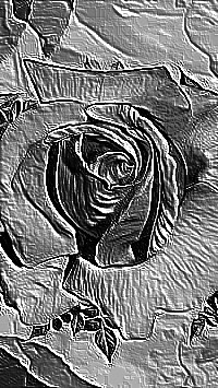 Skamielina