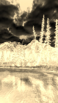 Sepia + Negatyw