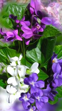 Oryginalny obrazek