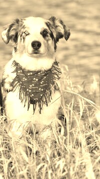 Sepia