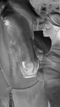 Szary + Negatyw