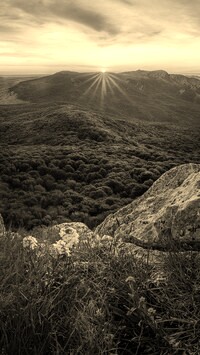 Sepia