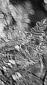 Skamielina