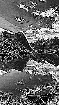 Skamielina
