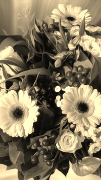 Sepia
