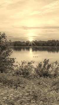 Szary + Sepia