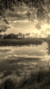 Szary + Sepia