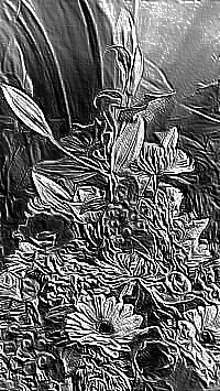 Skamielina
