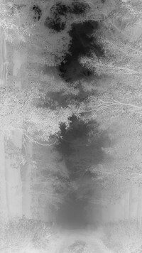 Szary + Negatyw