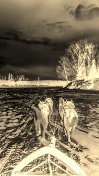 Sepia + Negatyw