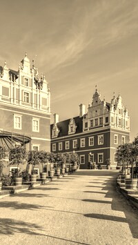 Szary + Sepia