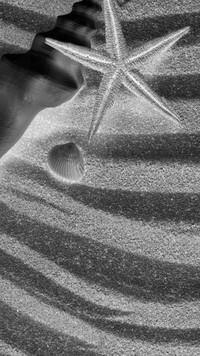 Szary + Negatyw