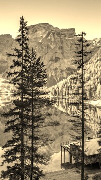 Szary + Sepia