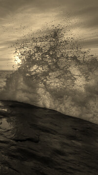 Szary + Sepia