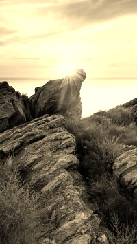 Szary + Sepia