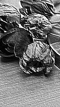 Skamielina