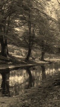 Szary + Sepia