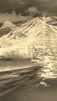Sepia + Negatyw