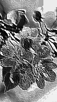 Skamielina