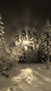 Sepia